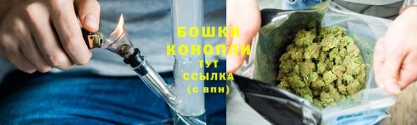 бошки Каменка