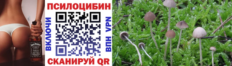 купить наркотик  Чистополь  Галлюциногенные грибы Psilocybine cubensis 