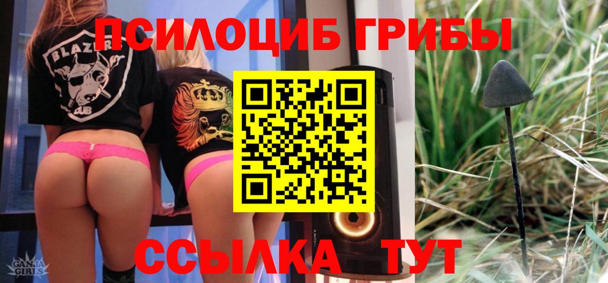 Галлюциногенные грибы мицелий  Вход с VPN  Чистополь 