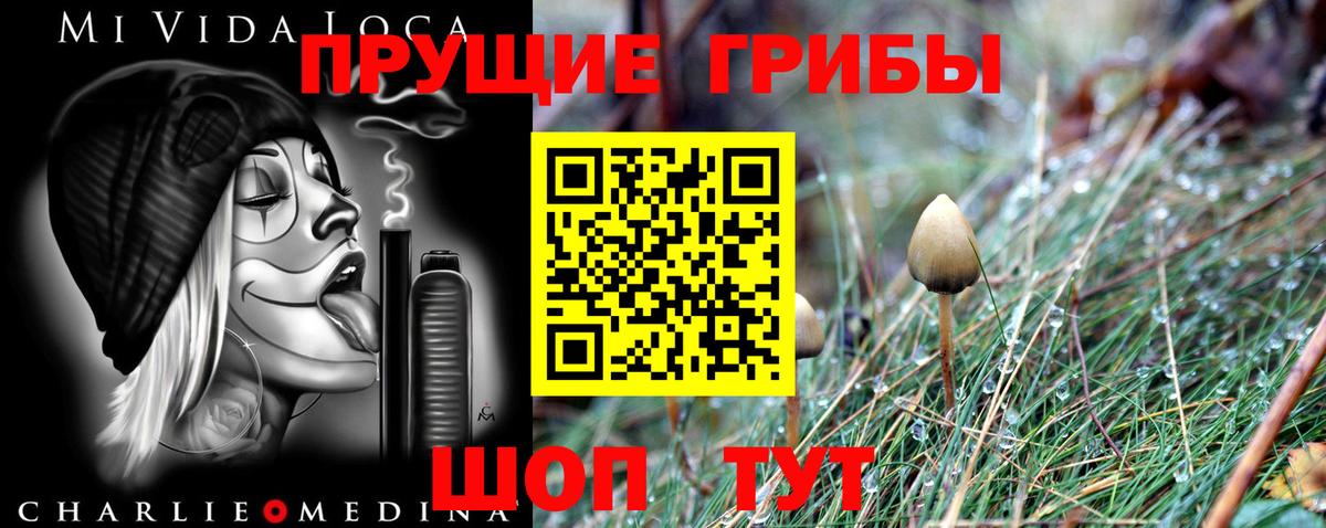 Галлюциногенные грибы Psilocybine cubensis Чистополь